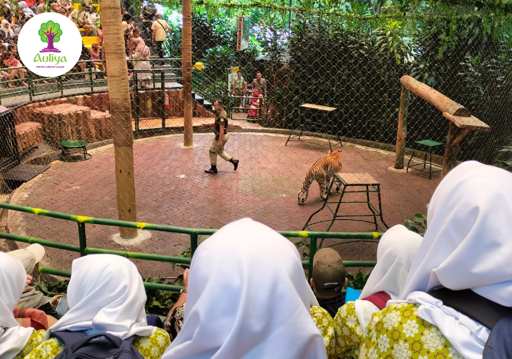  Ciptakan Suasana Belajar Yang Berbeda SMPIT Auliya Gelar Field Ke Taman Safari