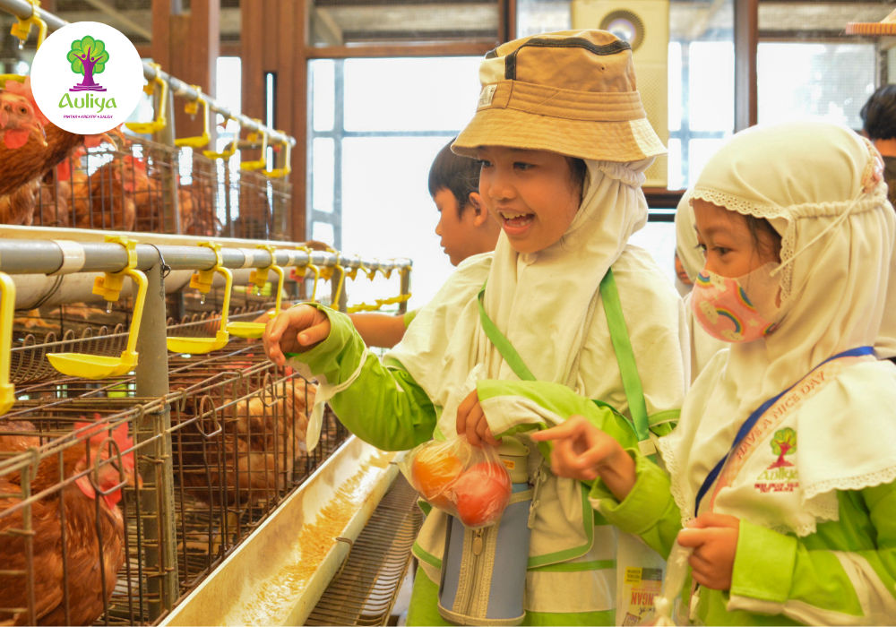  Perluas Pengetahuan Siswa tentang Dunia Pertanian Dan Peternakan, SDIT Auliya Gelar  Field Trip Ke Kuntum Farmfield Bogor